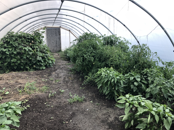 Greenhouse