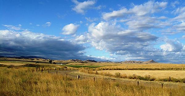 Bear Paw Battlefield