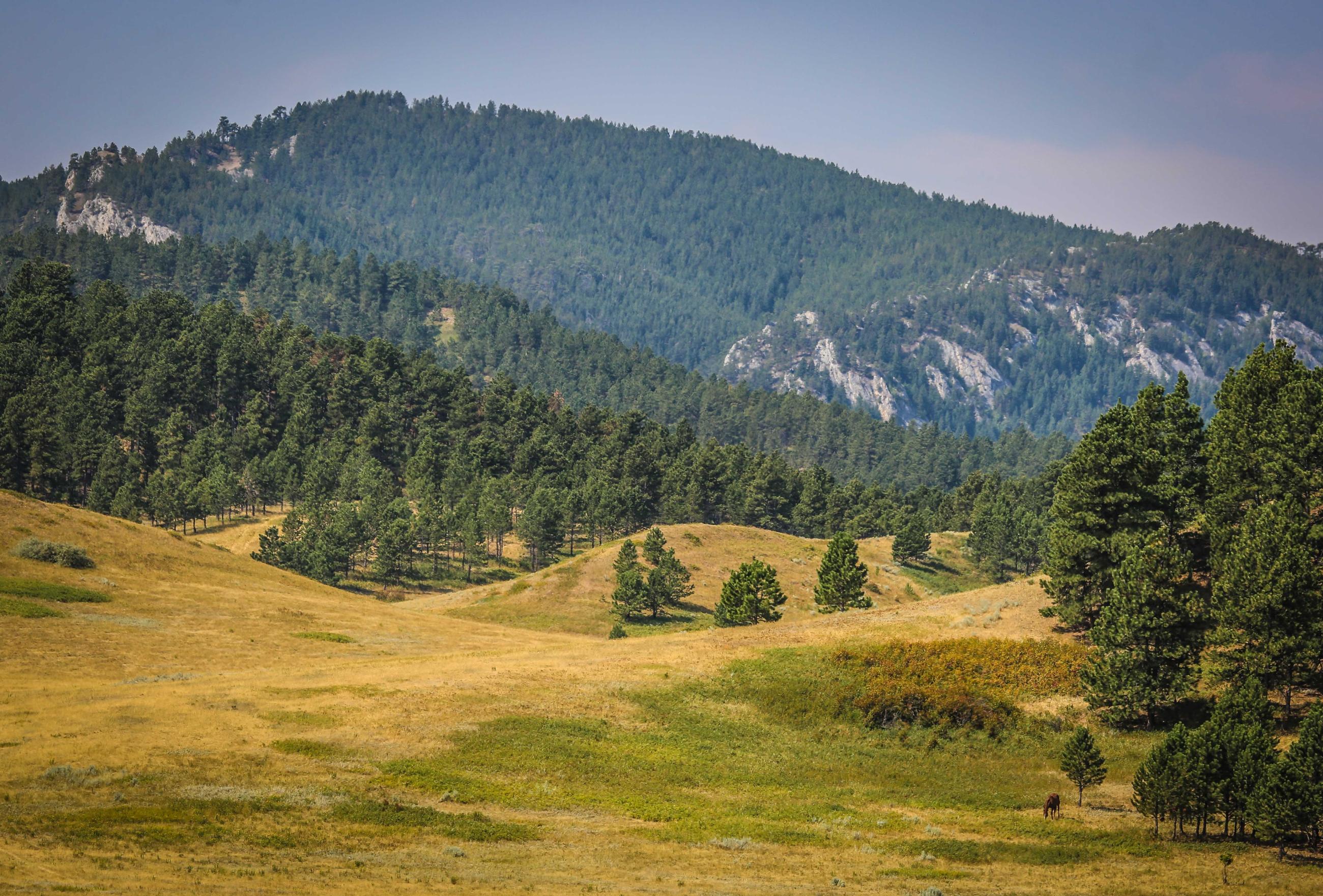 Landscape photo of the mountains on the Fort Belknap reservation.