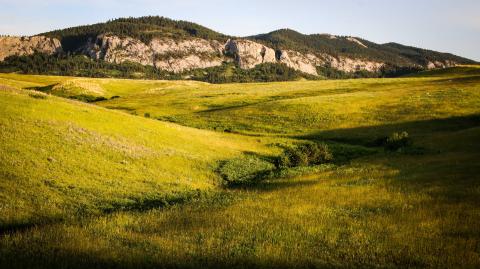 Landscape photo