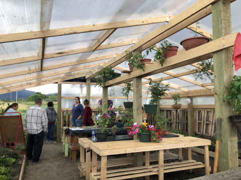Photo of the greenhouse