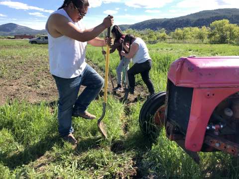 Photo of people working in a field